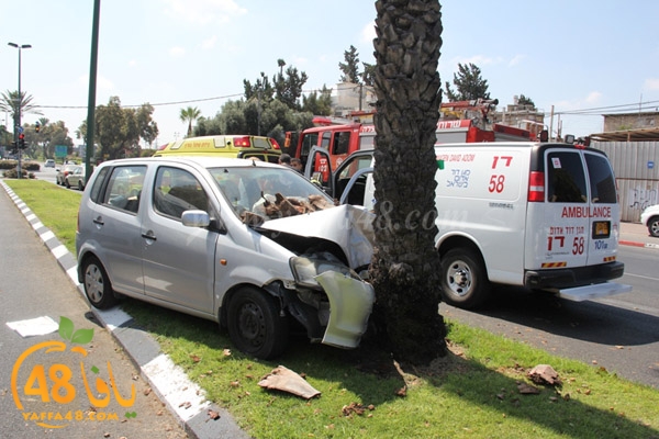 acc yaffa jasterret (13).JPG